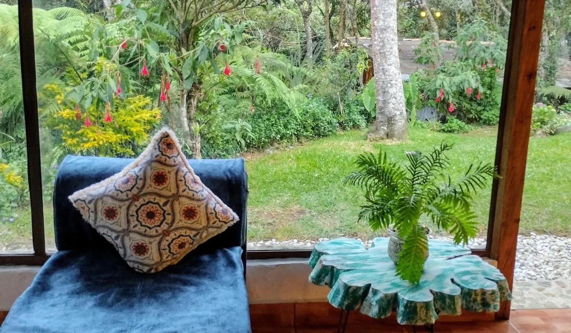 El Bosque De Las Hadas I Medellín Kolumbia